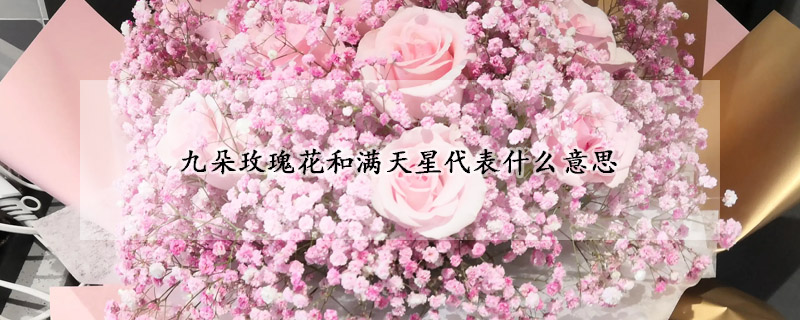 九朵玫瑰花和满天星代表什么意思
