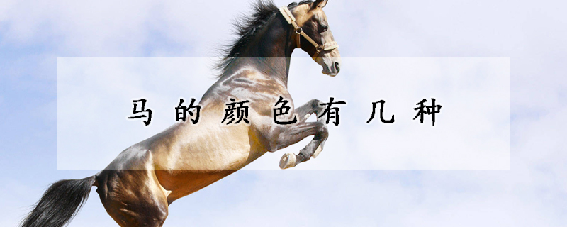 马的颜色有几种