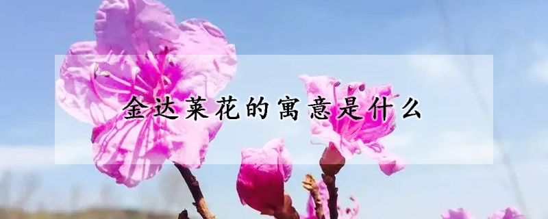 金达莱花的寓意是什么