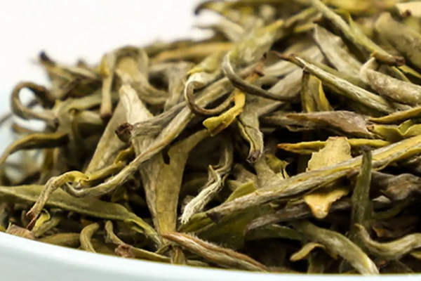银针茶叶哪里产,银针茶叶的产地