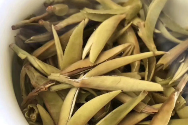 银毫白针是什么茶,银毫白针属于哪种茶类