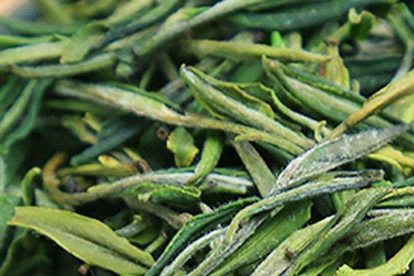 霍山黄芽属于什么茶类,霍山黄芽属于黄茶吗