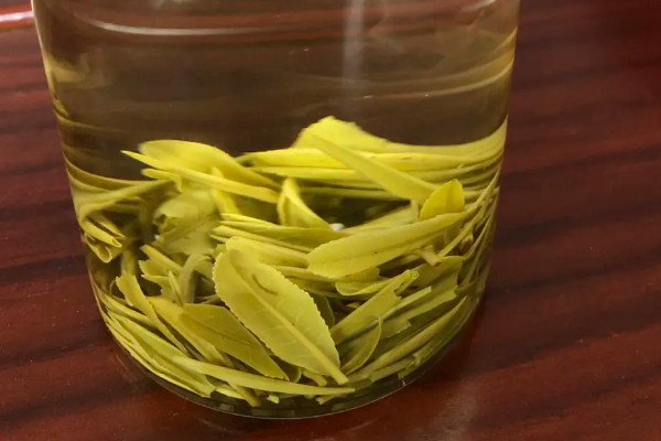 霍山黄芽属于什么茶类，霍山黄芽属于黄茶吗