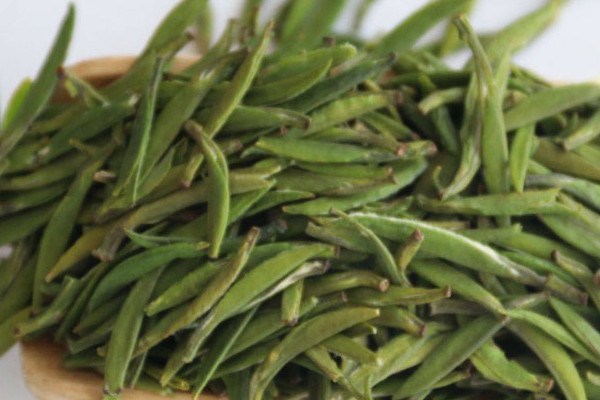 湄潭翠芽属于什么茶,湄潭翠芽是不是绿茶