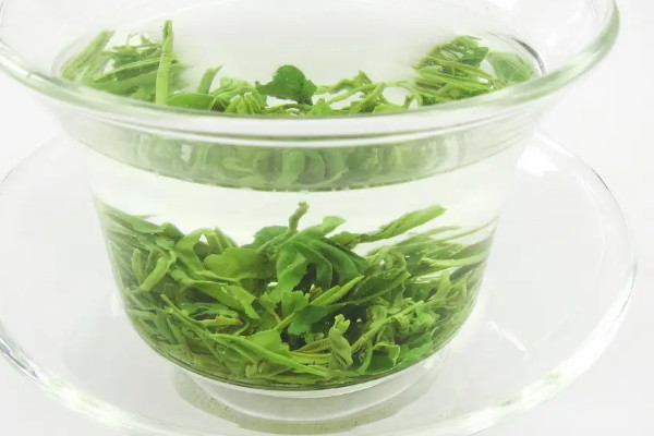 湄潭翠芽属于什么茶,湄潭翠芽是不是绿茶