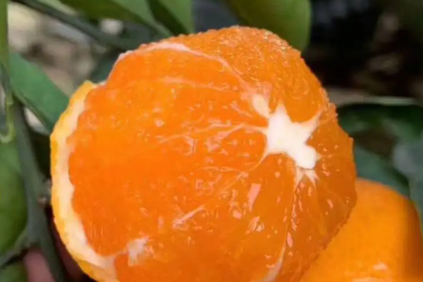 血糖高吃什么食物和水果最好,高血糖吃什么食物最好