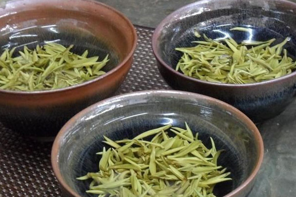 庐山云雾茶属于什么茶,庐山云雾茶是哪种茶