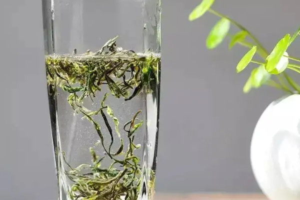 庐山云雾是绿茶吗,庐山云雾是啥茶