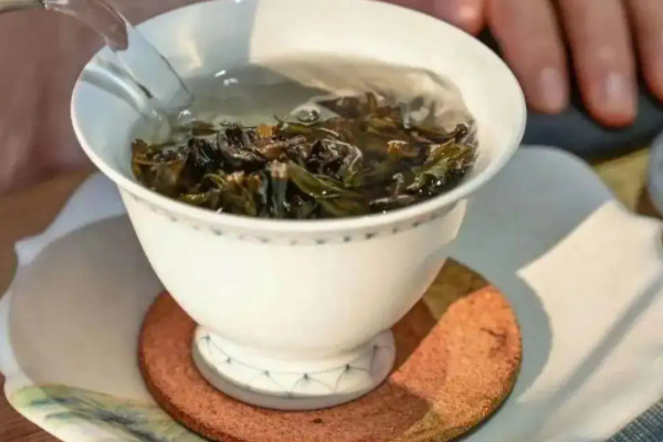 白芽奇兰是红茶还是绿茶,白芽奇兰茶是什么茶
