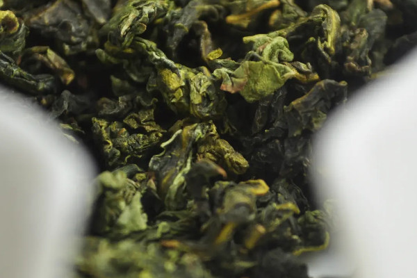 高山茶的特点,高山茶有什么特点