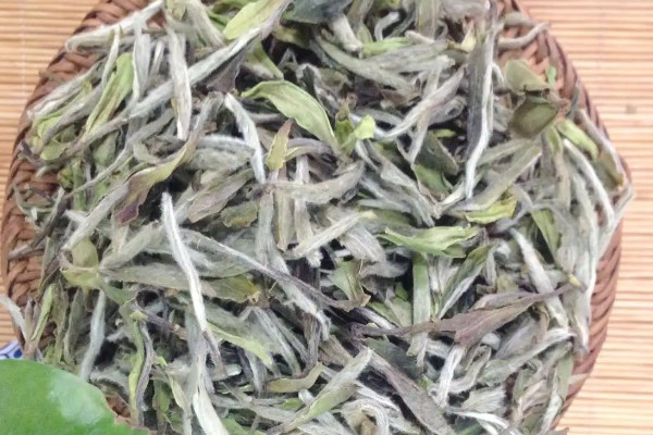高山茶的特点,高山茶有什么特点