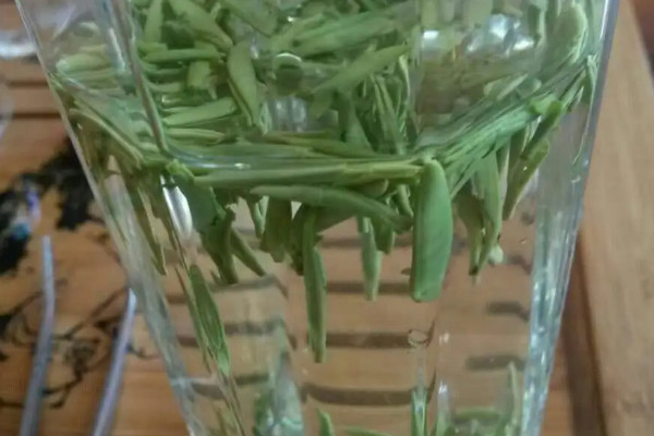 明前茶和雨前茶的区别,雨前茶好还是明前茶好