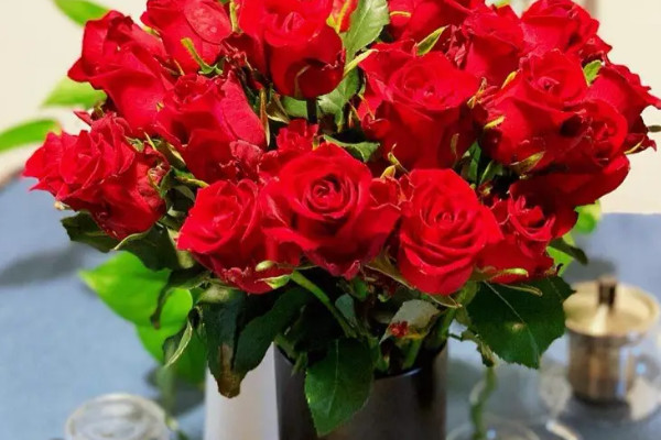 买回来的玫瑰花怎么养在花瓶中