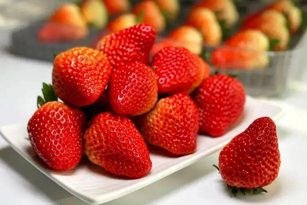 草莓产地主要在哪个省，草莓的主要产地是哪里