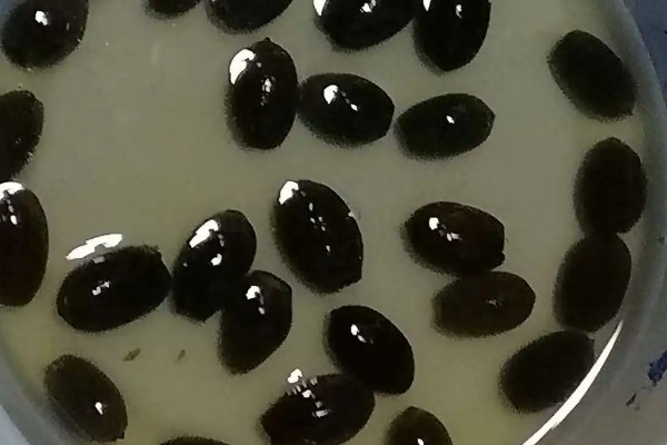 阳台种植蔬菜的时间和方法步骤,阳台如何种植蔬菜