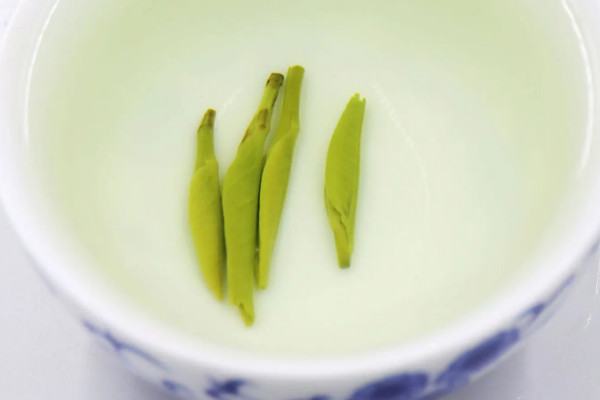 金坛雀舌属于什么茶类,金坛雀舌是什么茶树