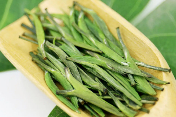 金坛雀舌属于什么茶类,金坛雀舌是什么茶树