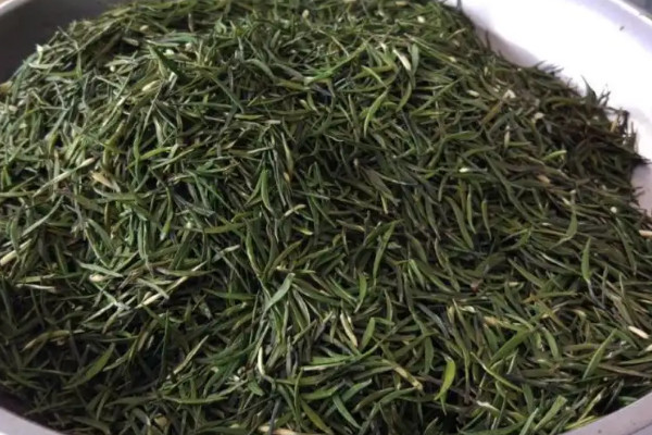 金坛雀舌属于什么茶类,金坛雀舌是什么茶树