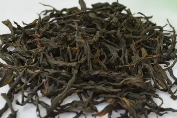 凤凰茶属于什么茶,凤凰名茶属于什么茶类