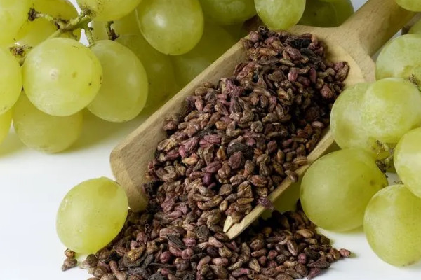 葡萄籽能吃吗，葡萄籽能吃吗有什么好吃