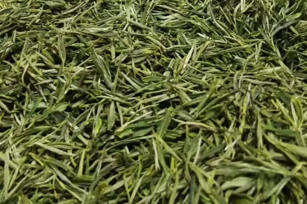岳西翠兰是什么茶,岳西翠兰是啥茶