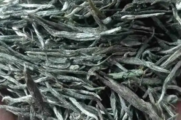 古丈毛尖是哪里产的,古丈毛尖产地