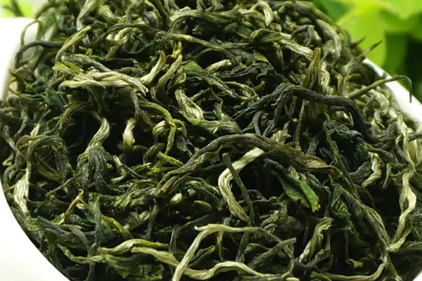 古丈毛尖是什么茶,古丈毛尖属于哪种茶