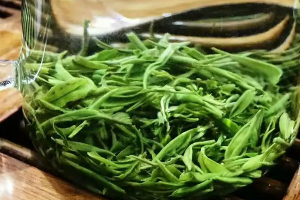 古丈毛尖是什么茶,古丈毛尖属于哪种茶