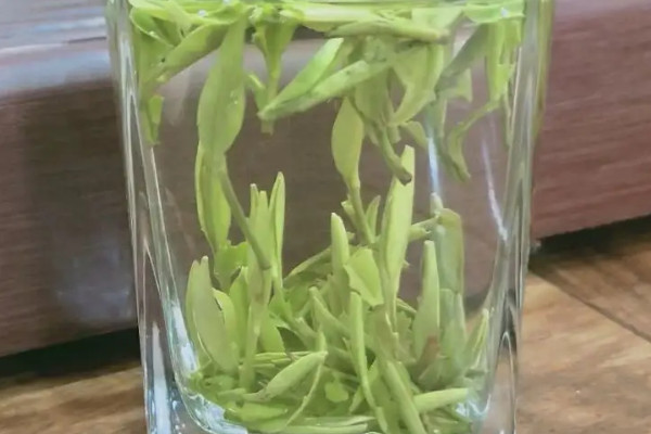 汉中仙毫是红茶还是绿茶,汉中仙毫属于什么茶