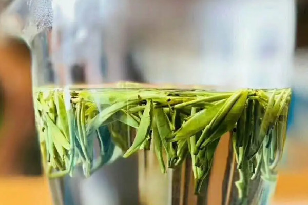 汉中仙毫是红茶还是绿茶,汉中仙毫属于什么茶