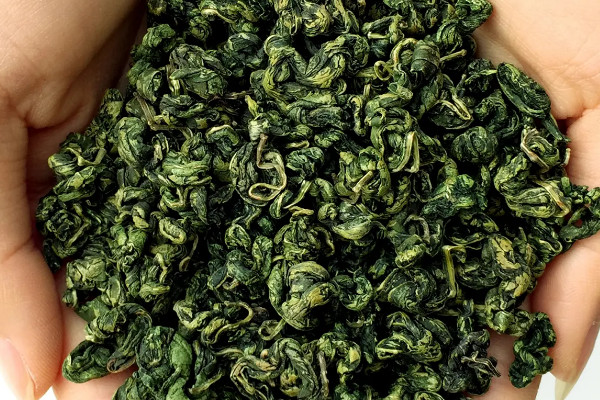 刺五加茶是什么茶,刺五加茶属于哪种茶