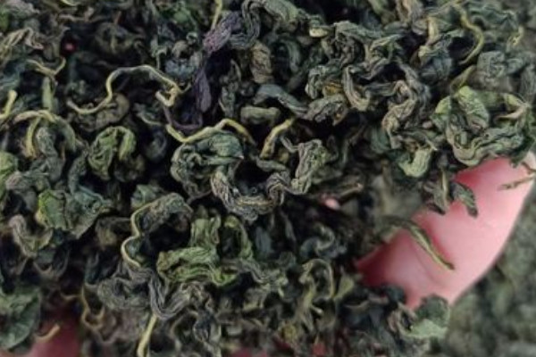 刺五加茶是什么茶,刺五加茶属于哪种茶