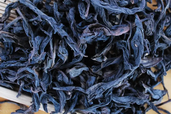 母树大红袍品种,母树大红袍有几个品种
