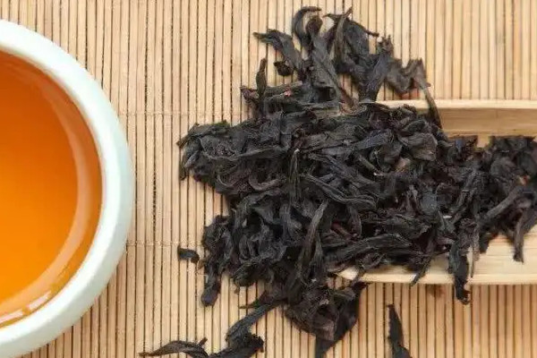 母树大红袍品种,母树大红袍有几个品种