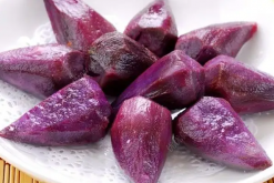 紫薯怎么种可以提高产量 紫薯种植方法 种植技术