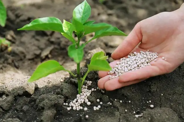 化学肥料与有机肥料 两者有什么区别