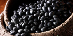 黑豆高产实用栽培技术
