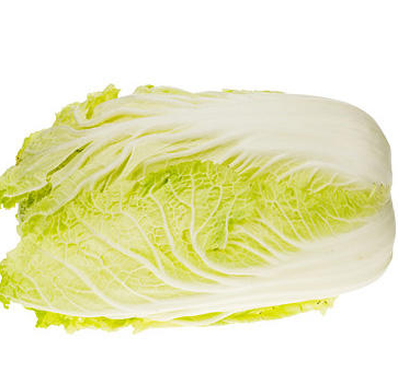 大白菜和娃娃菜哪个营养价值高?