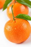 收获橘子后如何保存防止氧化？