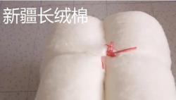 <strong>长绒棉和匹马棉哪个质量好些</strong>