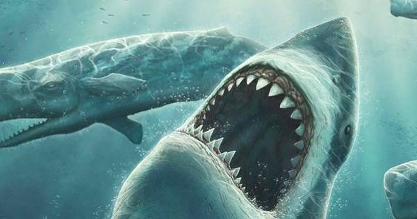 巨齿鲨已经确认灭绝了吗？