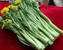 <strong>菜心种植管理技术</strong>