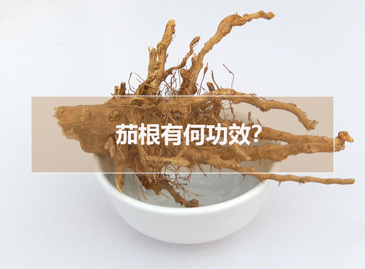 茄根有何功效？