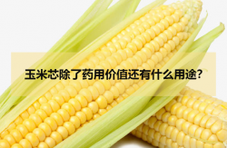 <strong>玉米芯除了药用价值还有什么用途？</strong>