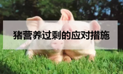 <strong>猪营养过剩的应对措施</strong>