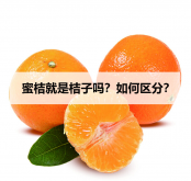 <b>蜜桔就是桔子吗？如何区分？</b>