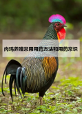 <strong>肉鸡养殖常用用药方法和用药常识</strong>