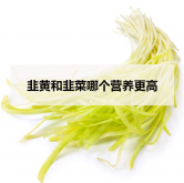 <strong>韭黄和韭菜哪个营养更高</strong>