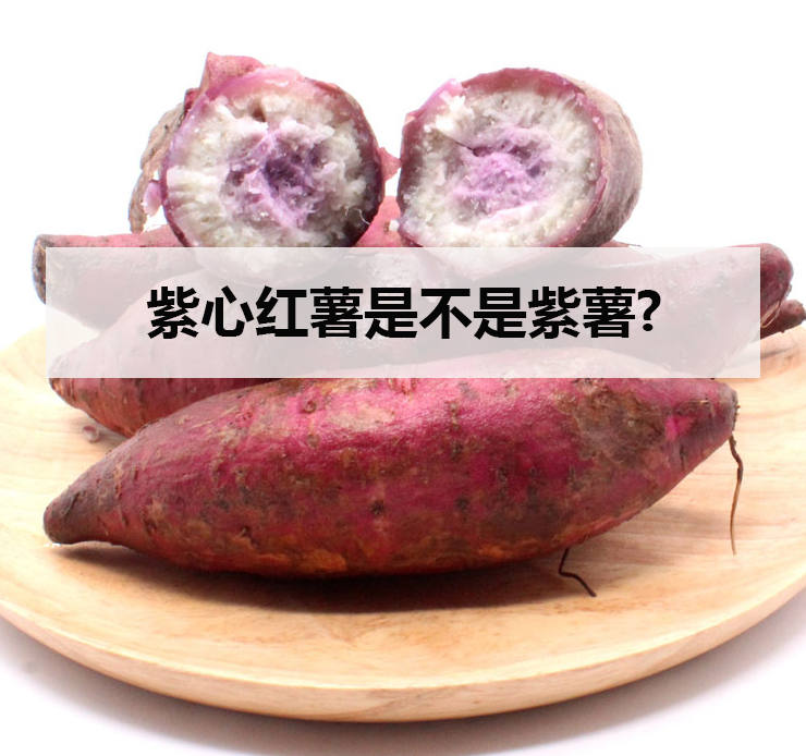 <strong>紫心红薯是不是紫薯?</strong>
