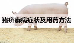<strong>猪疥癣病症状及用药方法</strong>